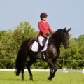 Victoire de Speed de la Garenne Z au CCE de Chambrette