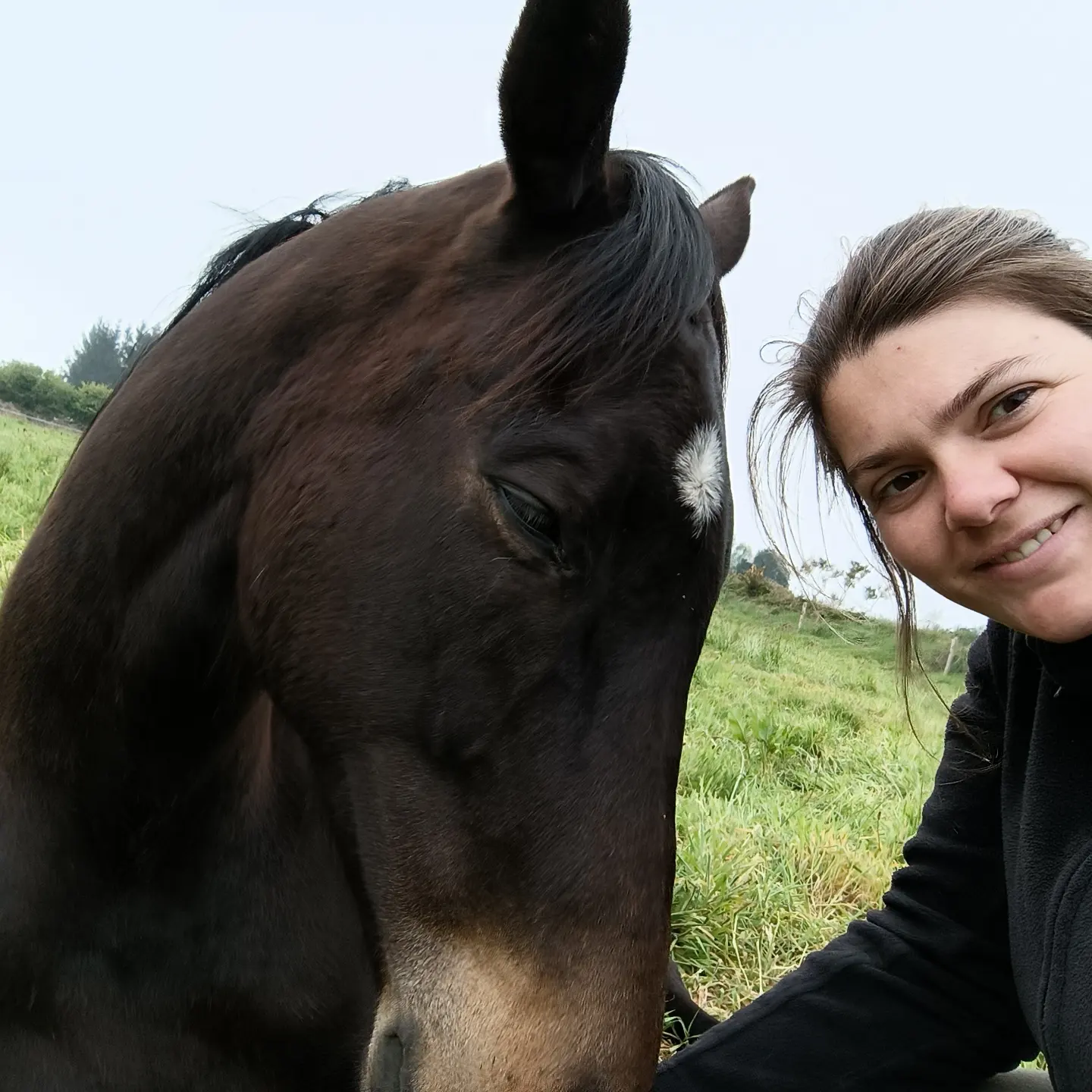 Cyrielle Grégoire, dirigeante de l'élevage de chevaux et poneys à Commana dans le Finistère