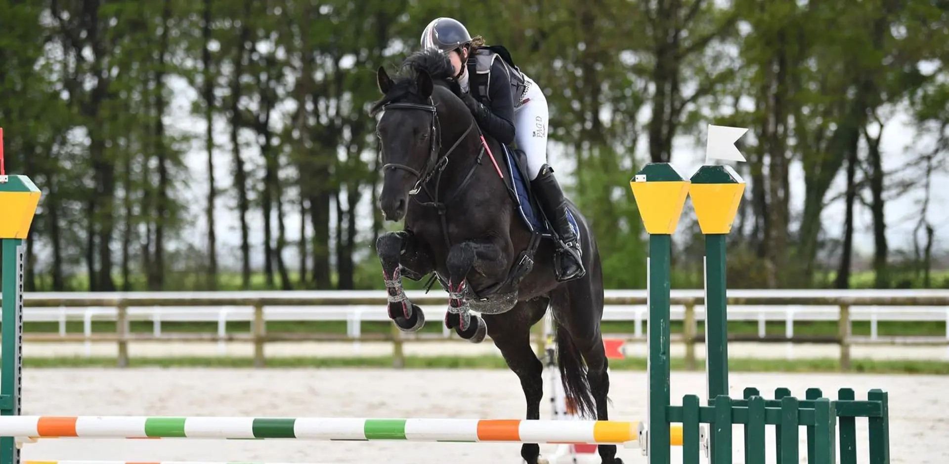 Speed de La Garenne, étalon de l'élevage de La Garenne près de Brest est un cheval de concours complet