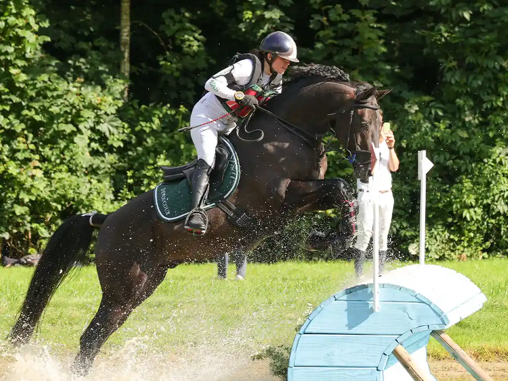 Speed de La Garenne Z est l'étalon de l'élevage de chevaux de sport de La Garenne dans le Finistère