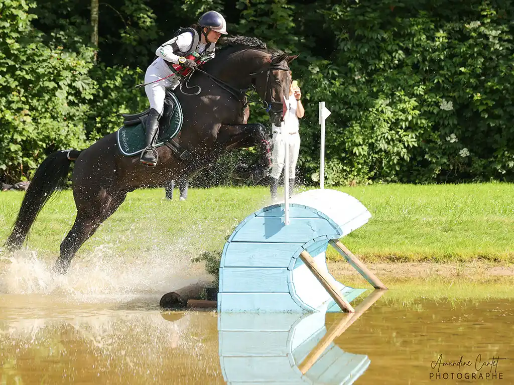 Speed de la Garenne Z. Notre étalon maison et performer en CCE. Il est issu du croisement entre le crack Solid Gold Z et Joly Squaw Z,