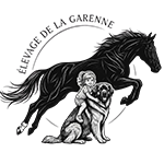 Élevage de La Garenne | Chevaux de Sport & chiots Leonberg (29)