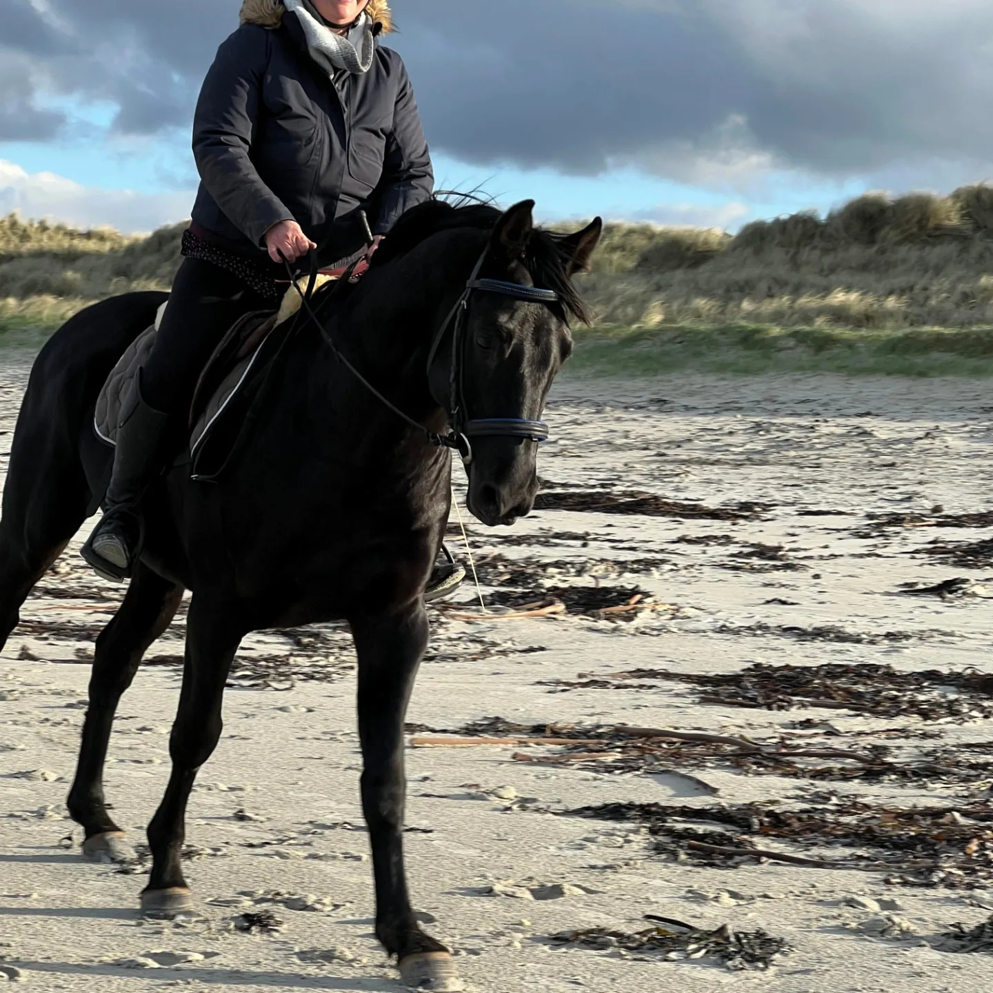 Speed de la garenne et Cyrielle Grégoire, elevage chevaux sport Finistere
